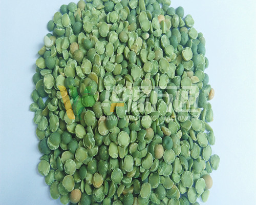 <a href=http://www.dlyrkj.cn/product/8/ target=_blank class=infotextkey>豌豆脫皮機(jī)</a>